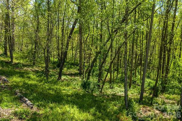 1.32 Acres of Residential Land for Sale in Asheville, North Carolina