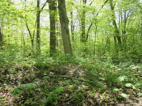 0.23 Acres of Land for Sale in Coloma, Michigan