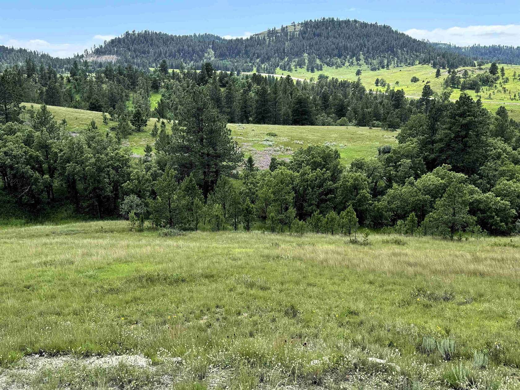 37.5 Acres of Land for Sale in Hulett, Wyoming