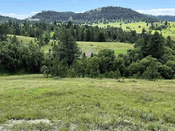 37.5 Acres of Land for Sale in Hulett, Wyoming