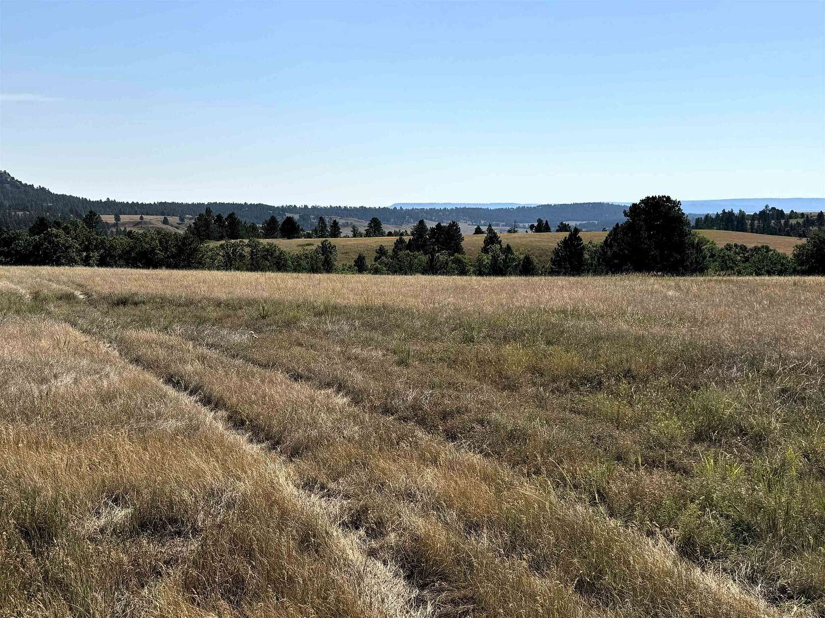 48.4 Acres of Land for Sale in Hulett, Wyoming