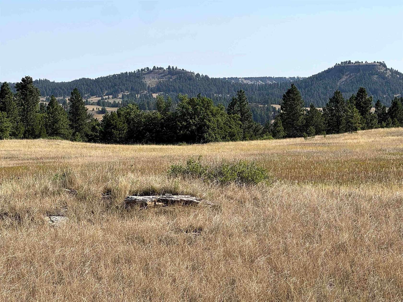 40.3 Acres of Recreational & Residential Land for Sale in Hulett, Wyoming