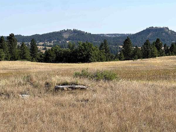 40.3 Acres of Recreational & Residential Land for Sale in Hulett, Wyoming