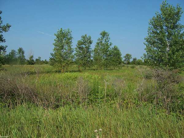 3.2 Acres of Residential Land for Sale in Memphis, Michigan