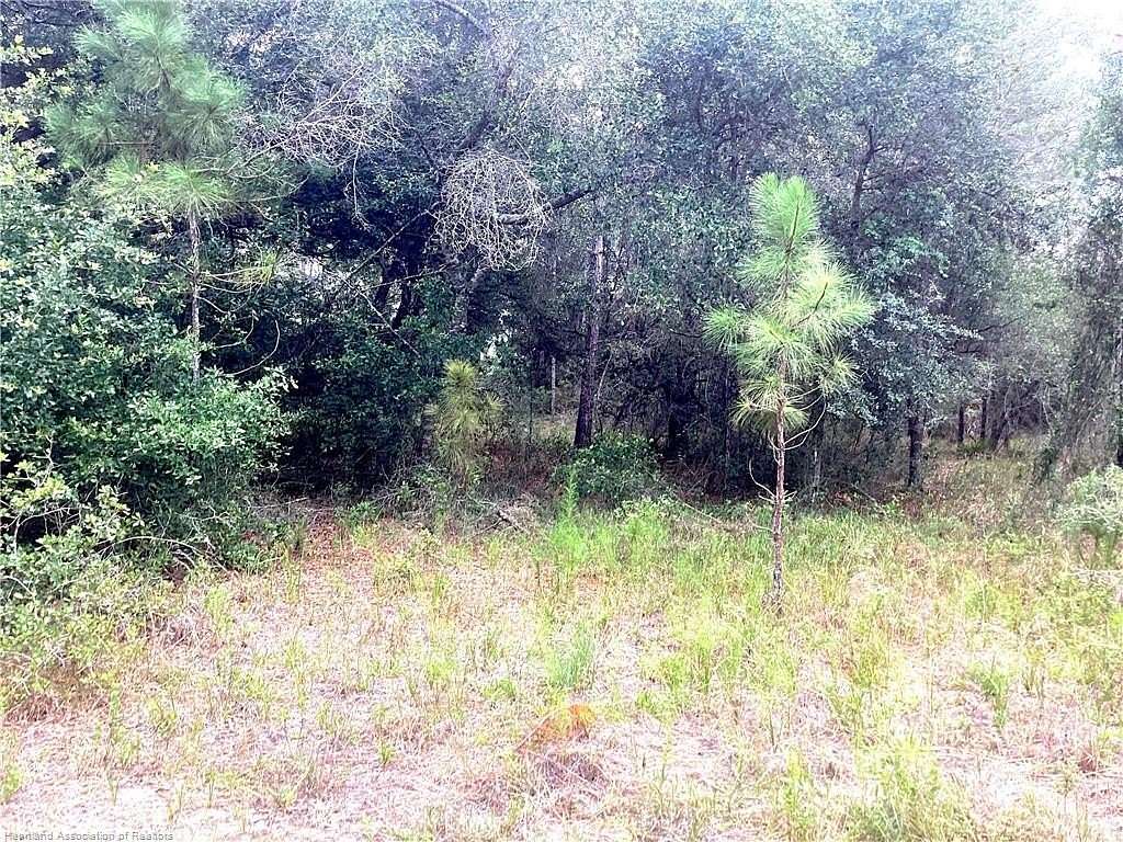 0.5 Acres of Residential Land for Sale in Lake Placid, Florida
