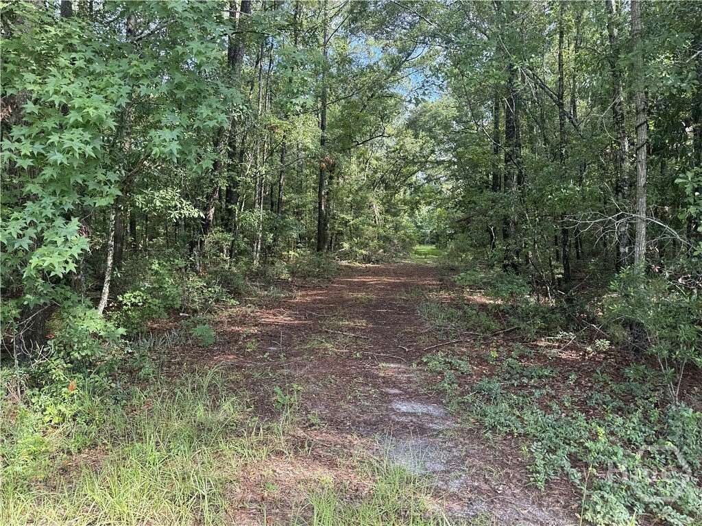 5.45 Acres of Improved Residential Land for Sale in Richmond Hill, Georgia