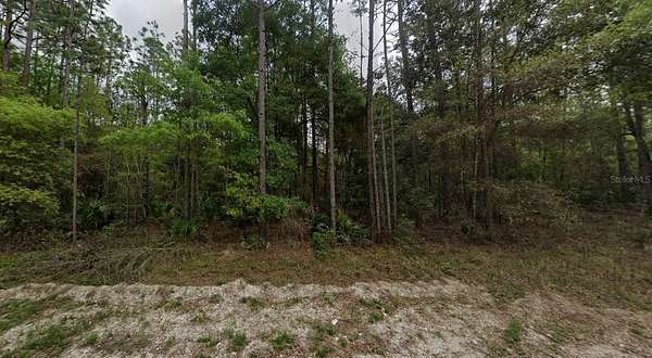 1.26 Acres of Residential Land for Sale in Old Town, Florida