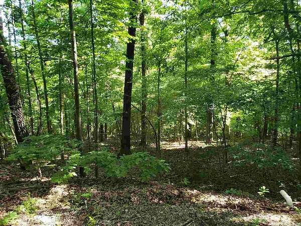 0.33 Acres of Land for Sale in Cherokee Village, Arkansas