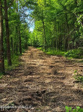 67 Acres of Recreational Land for Sale in Minter City, Mississippi
