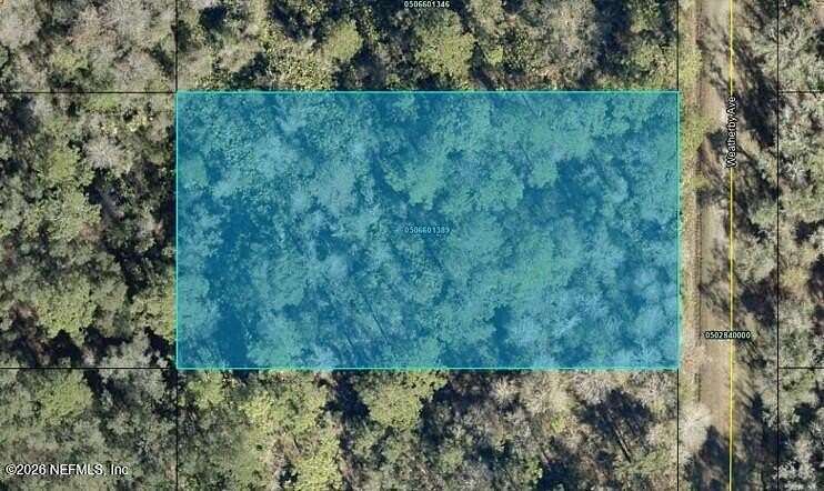 1.14 Acres of Residential Land for Sale in Hastings, Florida