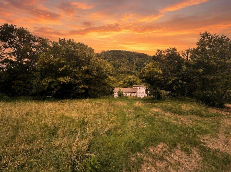 11.3 Acres of Land with Home for Sale in Pleasant Shade, Tennessee