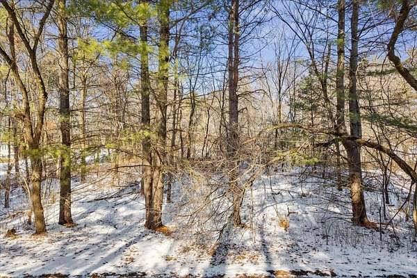 1.14 Acres of Land for Sale in Grant, Minnesota