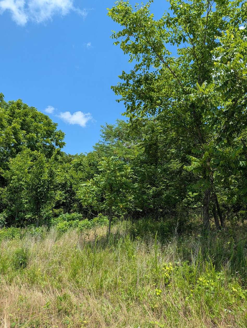 5 Acres of Land for Sale in Buffalo, Missouri