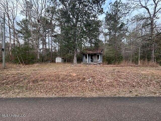 23 Acres of Recreational & Residential Land for Sale in Bogue Chitto, Mississippi