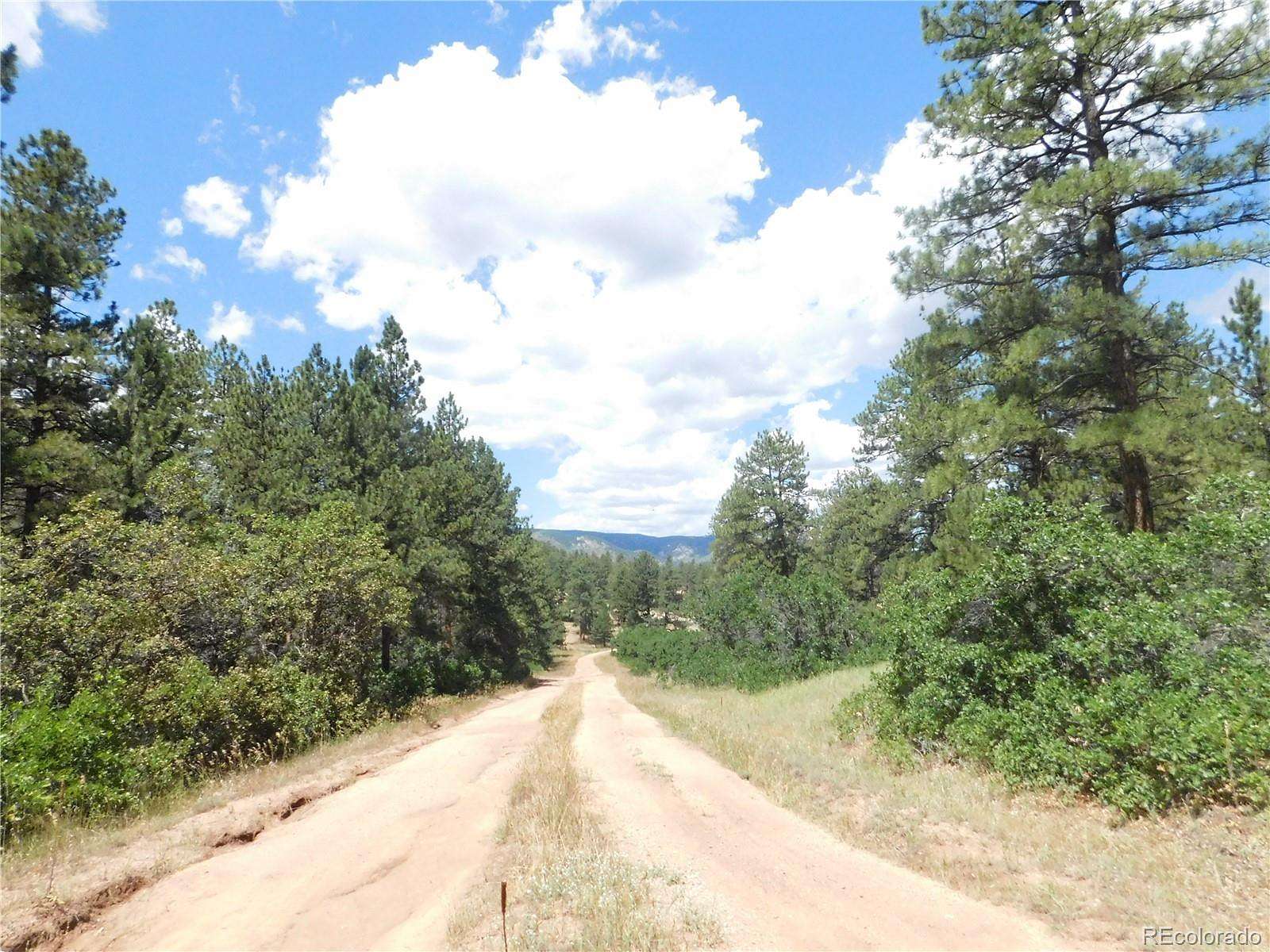 1 Acre of Residential Land for Sale in Larkspur, Colorado