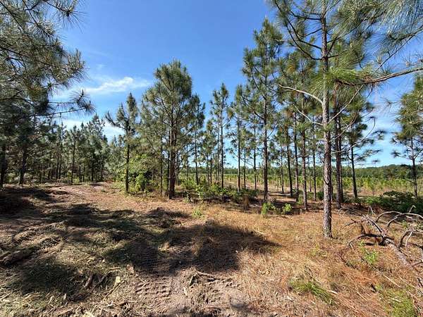 13 Acres of Land for Sale in Wagener, South Carolina
