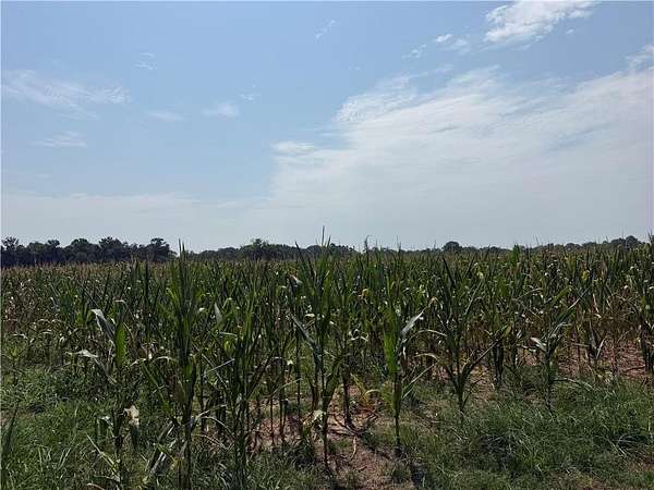 32.6 Acres of Land for Sale in Mobile, Alabama