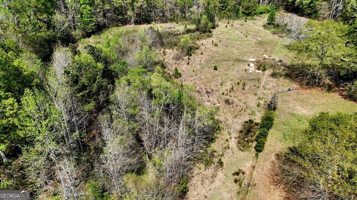 5 Acres of Improved Mixed-Use Land for Sale in Sharpsburg, Georgia