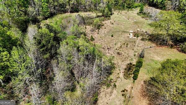 5 Acres of Improved Mixed-Use Land for Sale in Sharpsburg, Georgia