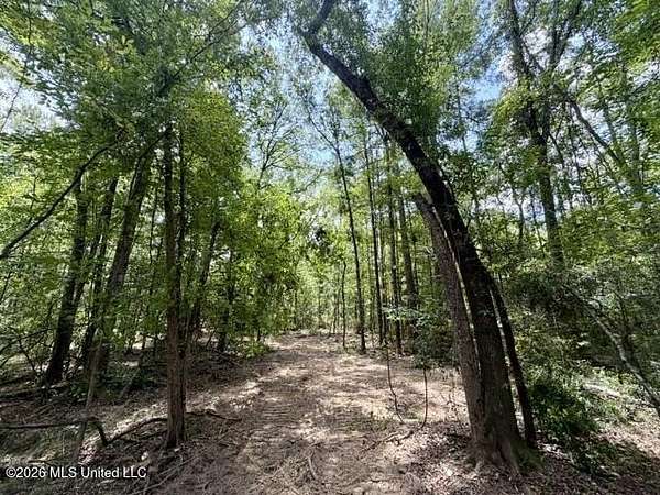 18.7 Acres of Recreational & Residential Land for Sale in Bogue Chitto, Mississippi