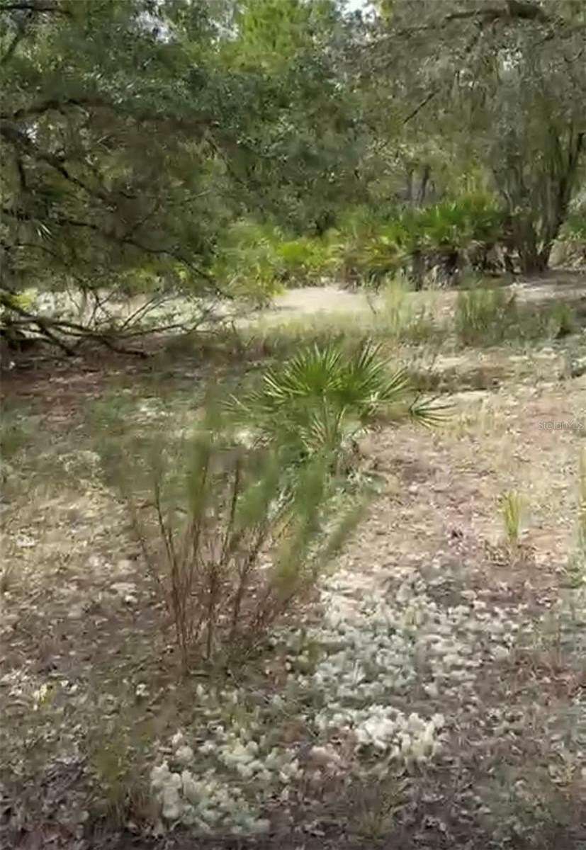 0.5 Acres of Residential Land for Sale in Indian Lake Estates, Florida
