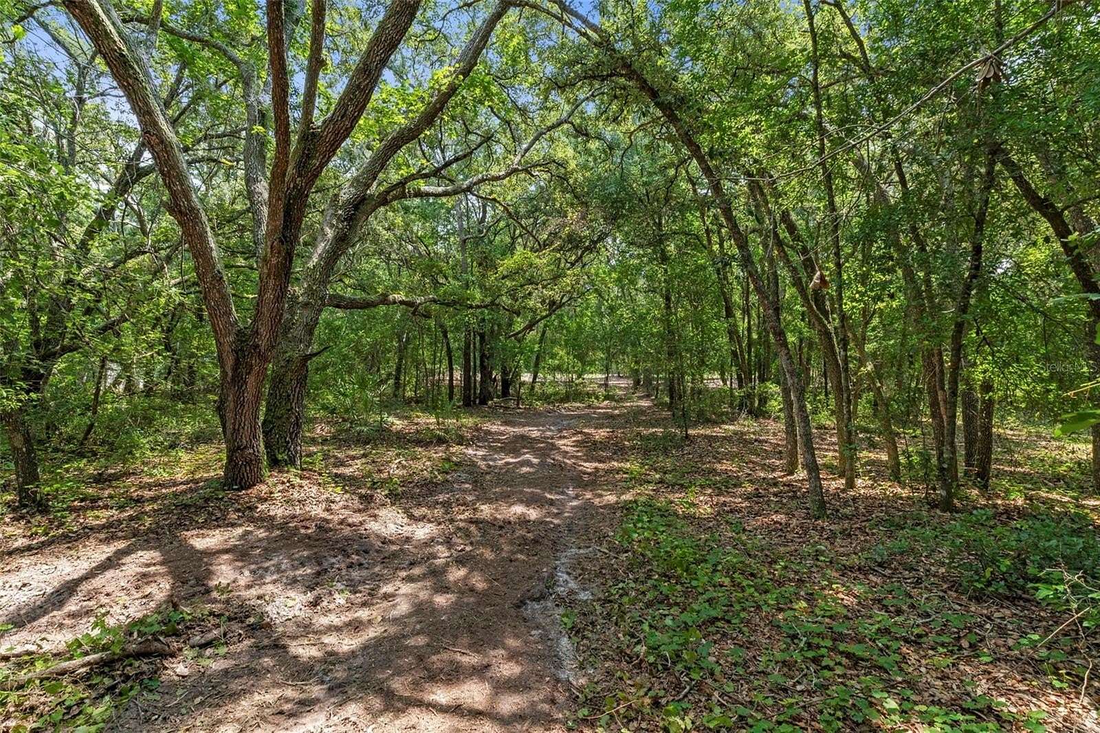1.78 Acres of Residential Land for Sale in Webster, Florida
