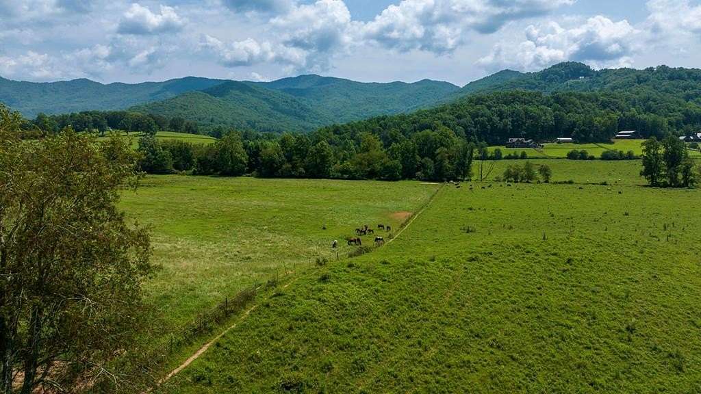 51.2 Acres of Land for Sale in Hayesville, North Carolina