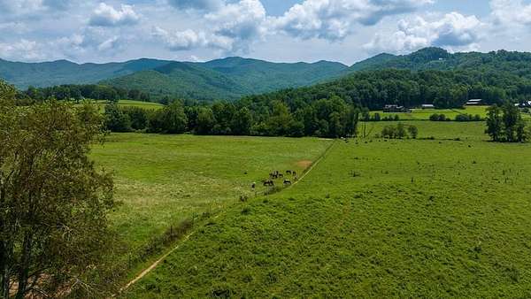 51.2 Acres of Land for Sale in Hayesville, North Carolina