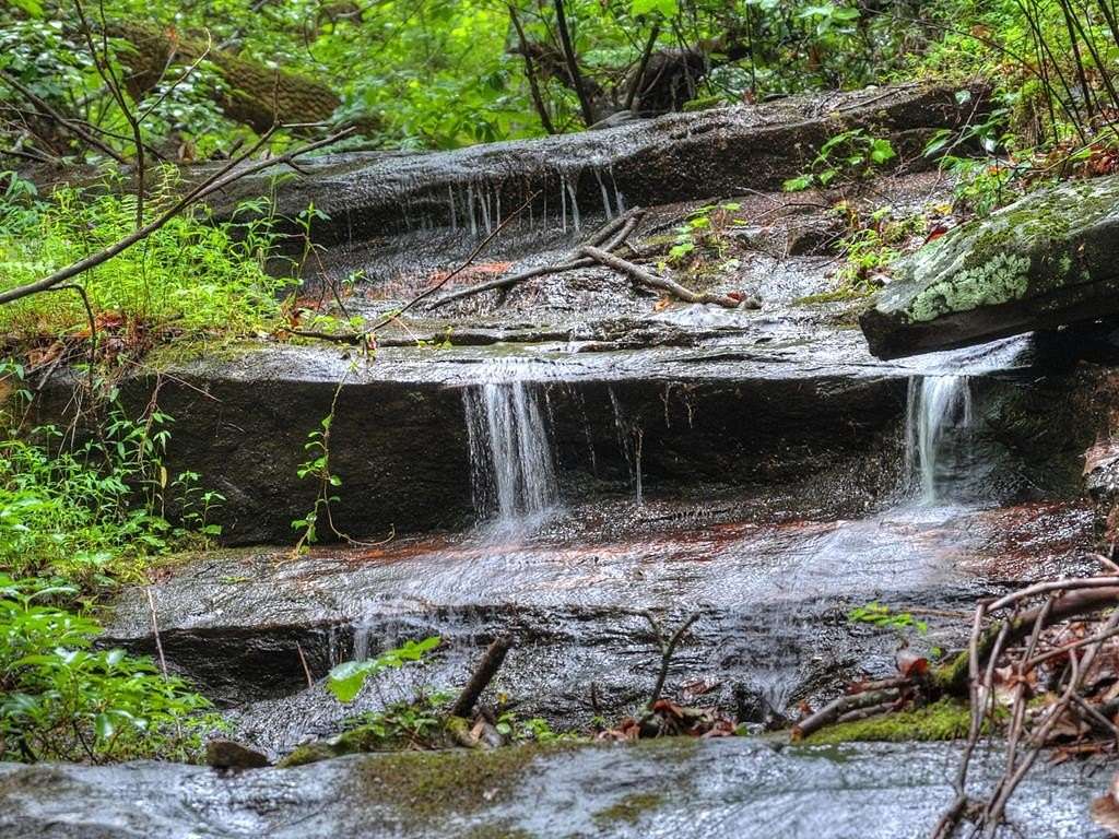 24.3 Acres of Recreational Land for Sale in Ellijay, Georgia