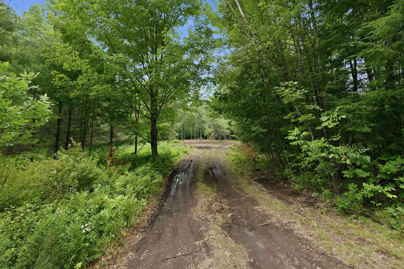11 Acres of Land for Sale in Center Harbor, New Hampshire