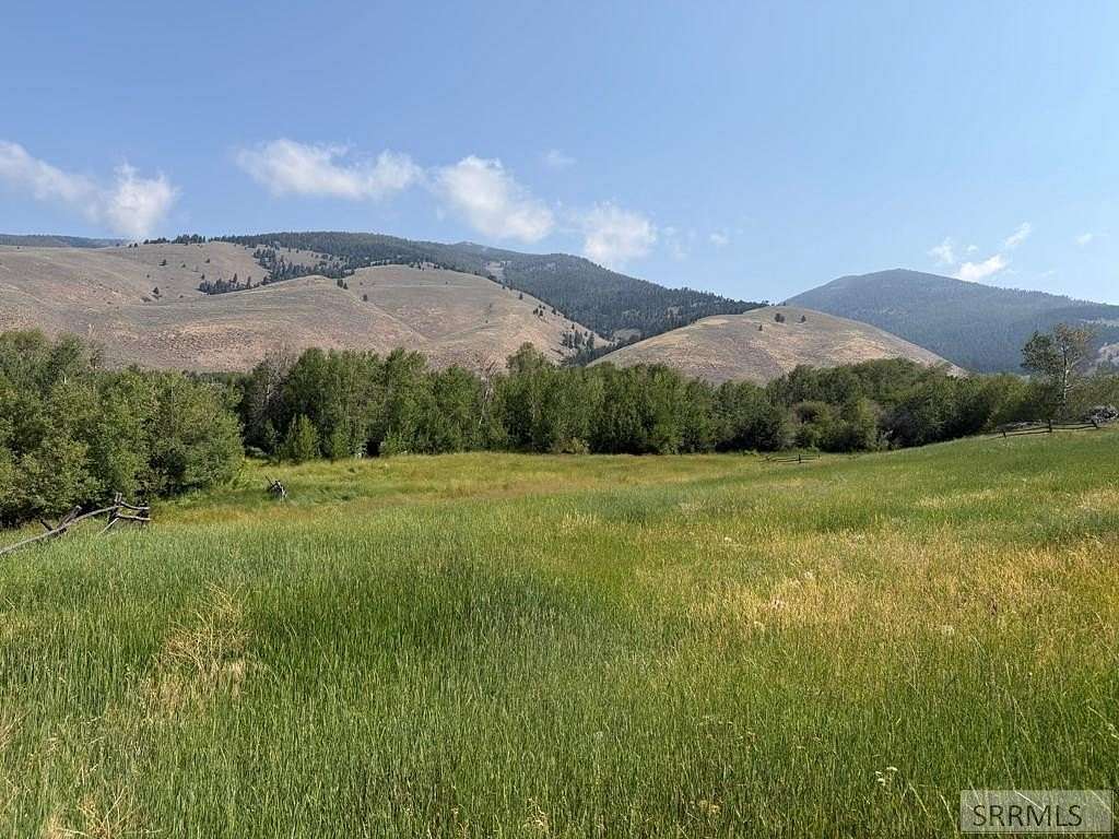 187 Acres of Land for Sale in Salmon, Idaho