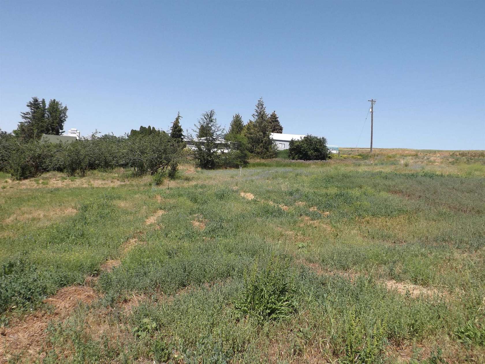 0.78 Acres of Residential Land for Sale in Rosalia, Washington