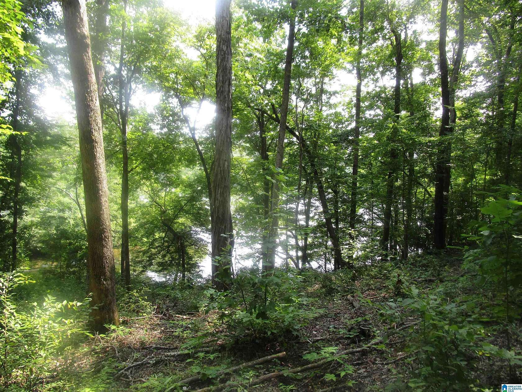 5 Acres of Residential Land for Sale in Jemison, Alabama