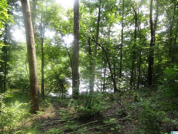 5 Acres of Residential Land for Sale in Jemison, Alabama