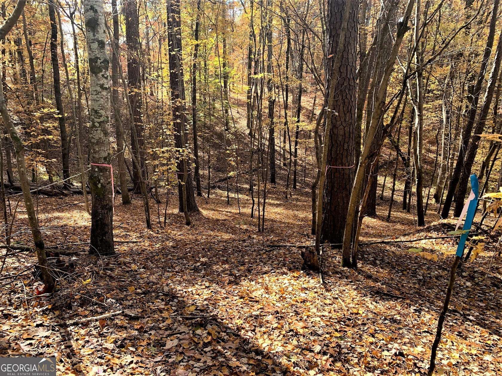 0.68 Acres of Land for Sale in Greensboro, Georgia