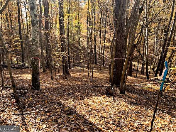 0.68 Acres of Land for Sale in Greensboro, Georgia