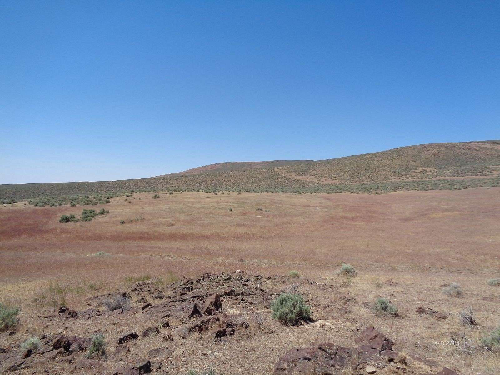 40 Acres of Land for Sale in Crescent Valley, Nevada