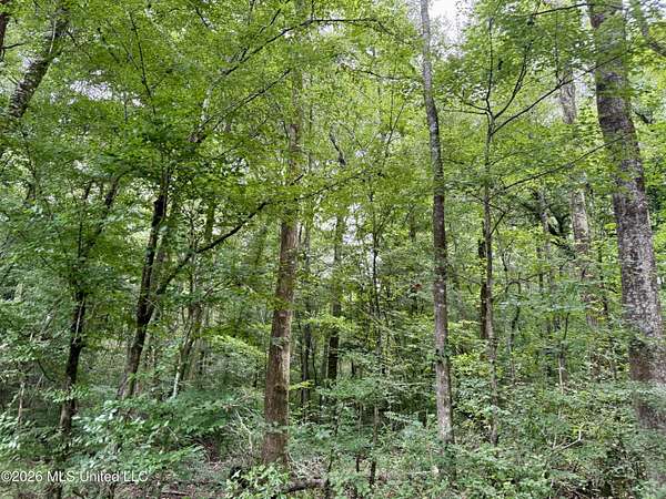 76.8 Acres of Recreational & Residential Land for Sale in Summit, Mississippi