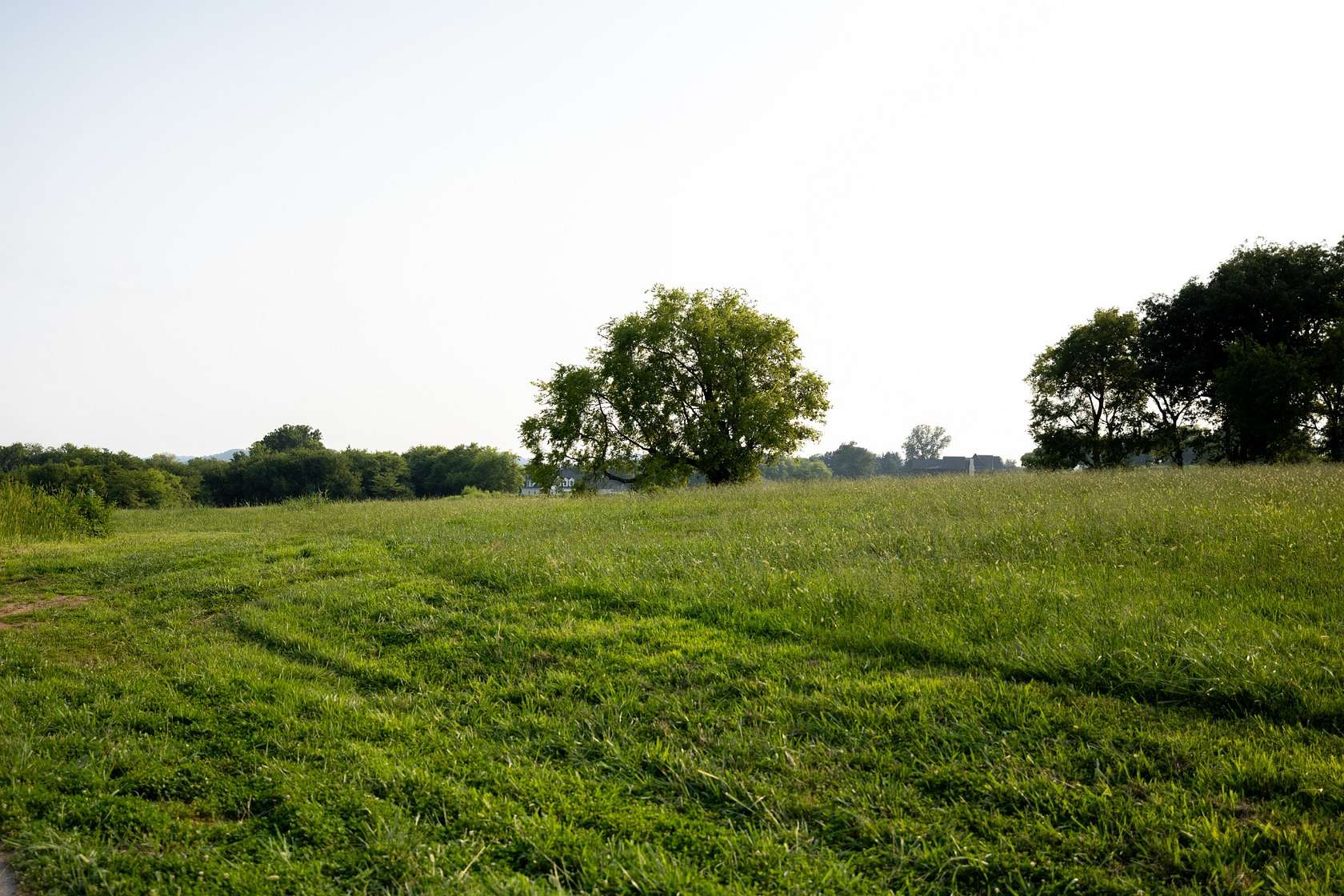 6.43 Acres of Residential Land for Sale in Franklin, Tennessee