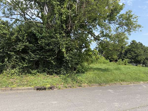 Residential Land for Sale in Shelbyville, Tennessee