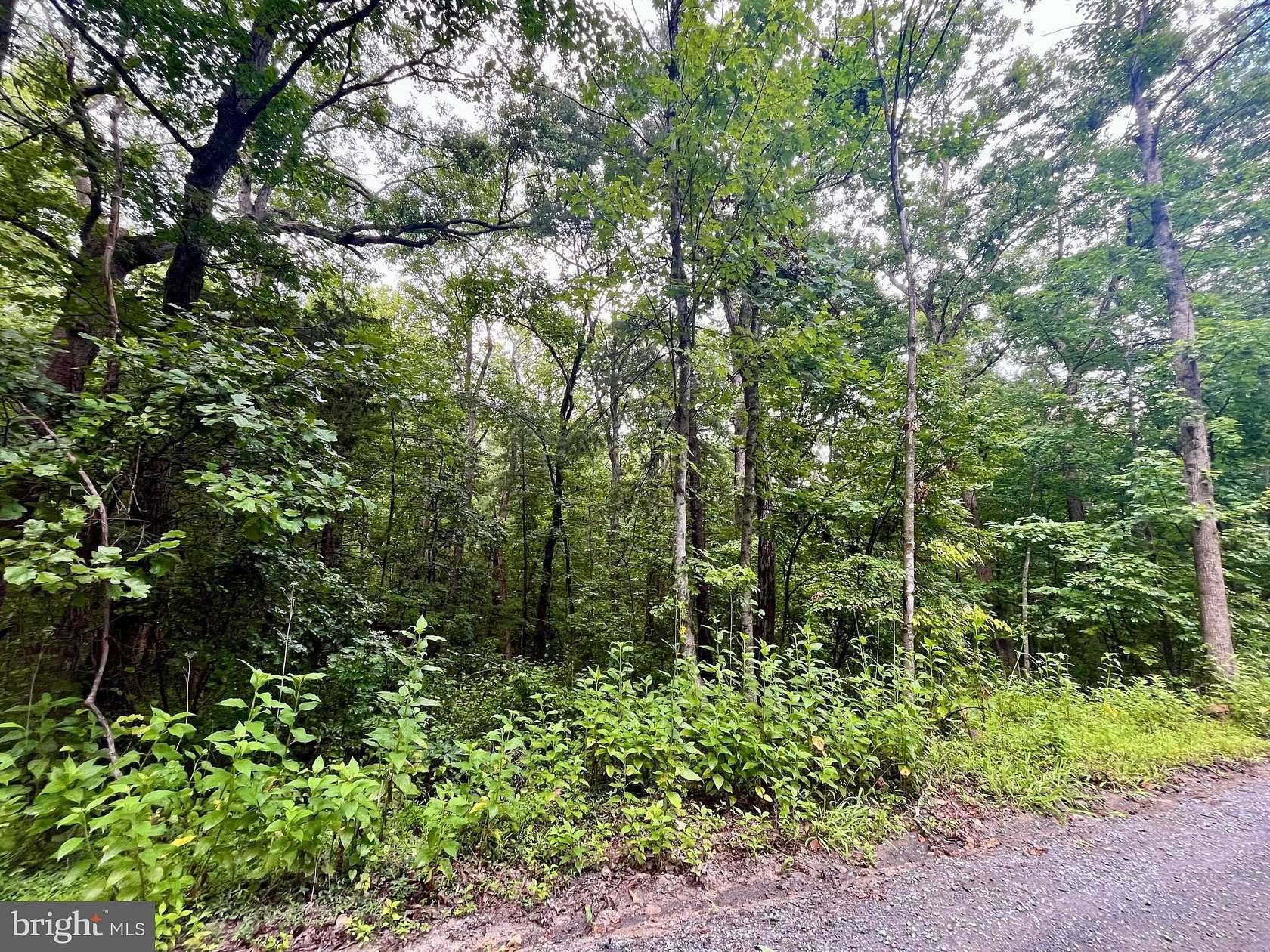 0.53 Acres of Residential Land for Sale in Luray, Virginia