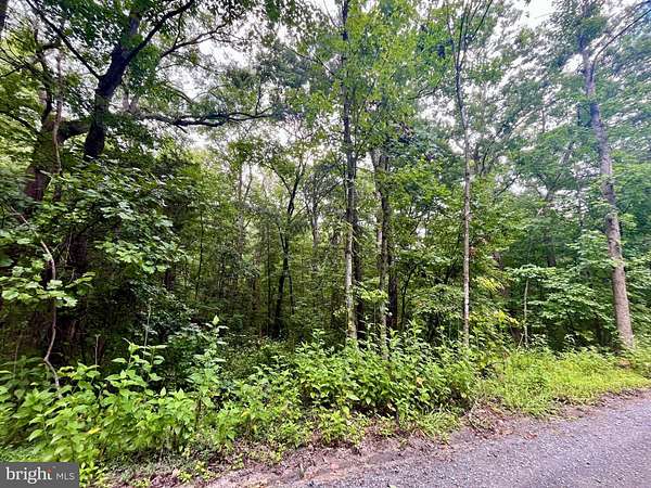 0.53 Acres of Residential Land for Sale in Luray, Virginia