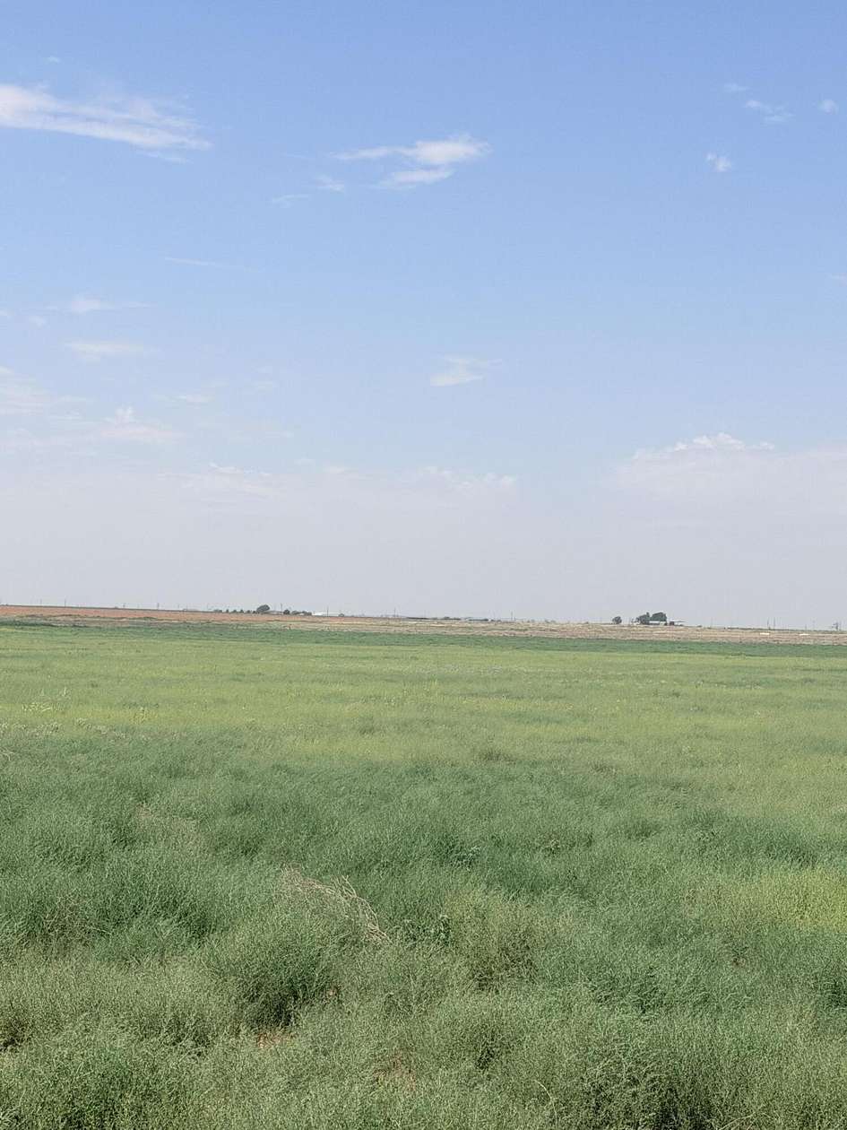 80 Acres of Agricultural & Residential Land for Sale in Shallowater, Texas