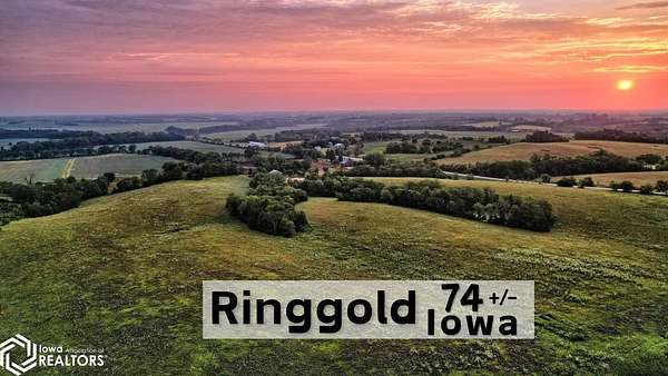 74 Acres of Land for Sale in Redding, Iowa