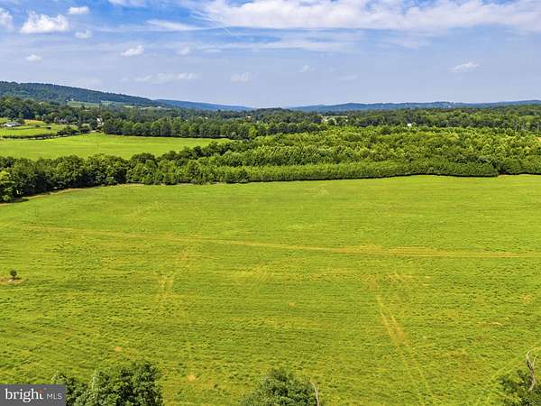 41.5 Acres of Land for Sale in Bluemont, Virginia