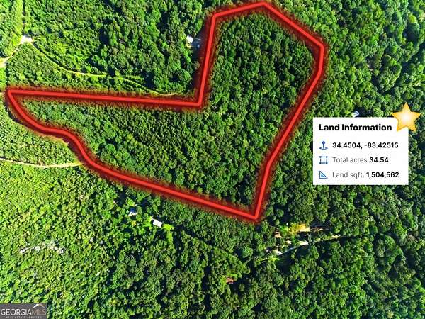 34.5 Acres of Recreational & Residential Land for Sale in Baldwin, Georgia