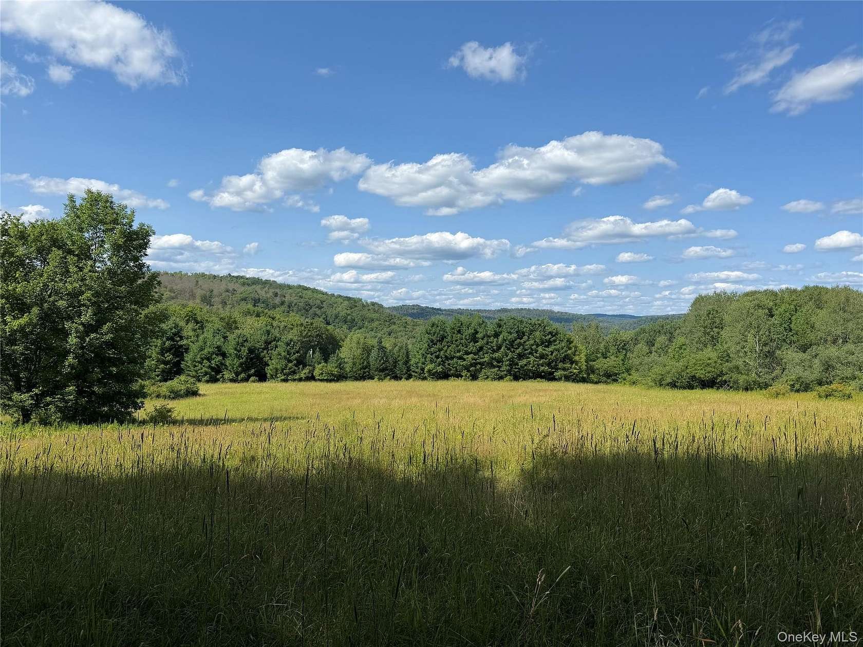 17.5 Acres of Land for Sale in Hancock, New York