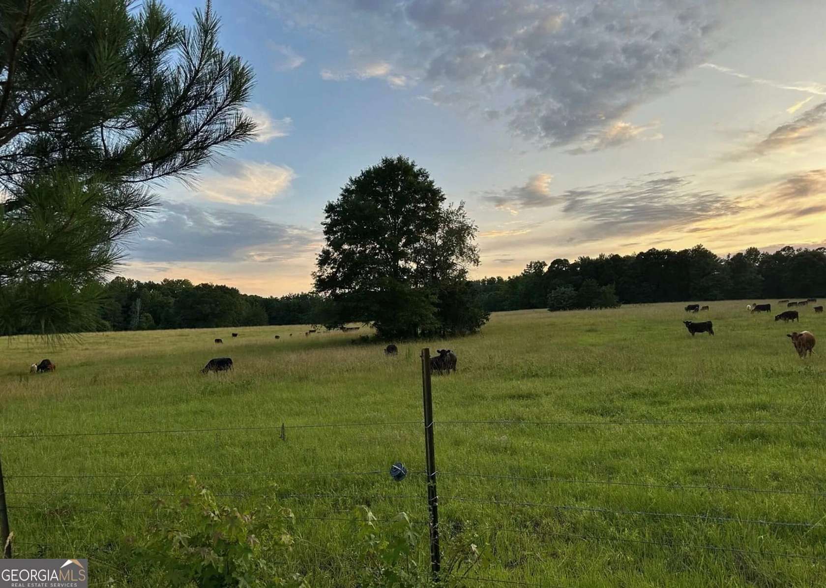 Residential Land for Sale in Williamson, Georgia