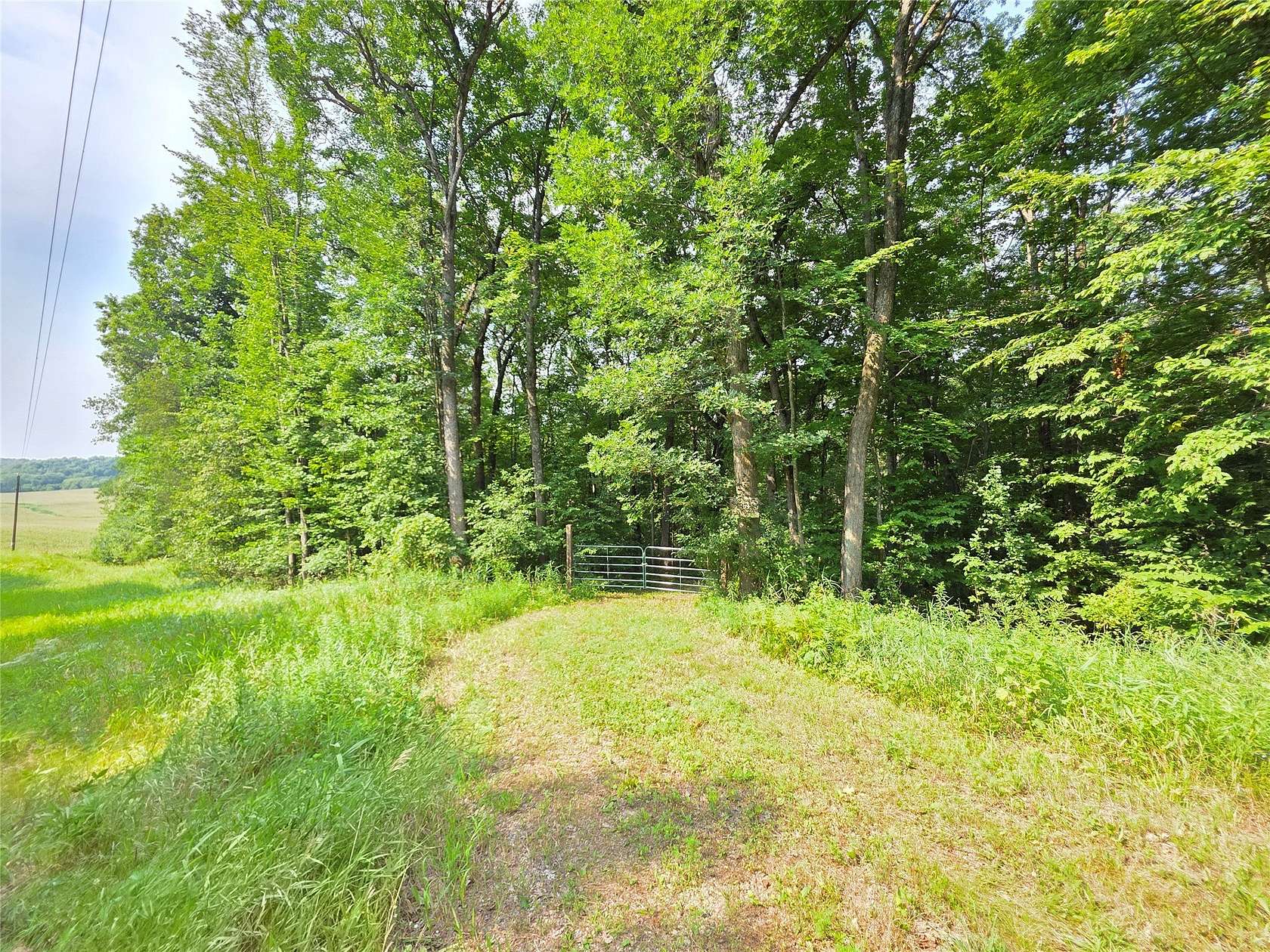 5.45 Acres of Land for Sale in Colfax, Wisconsin