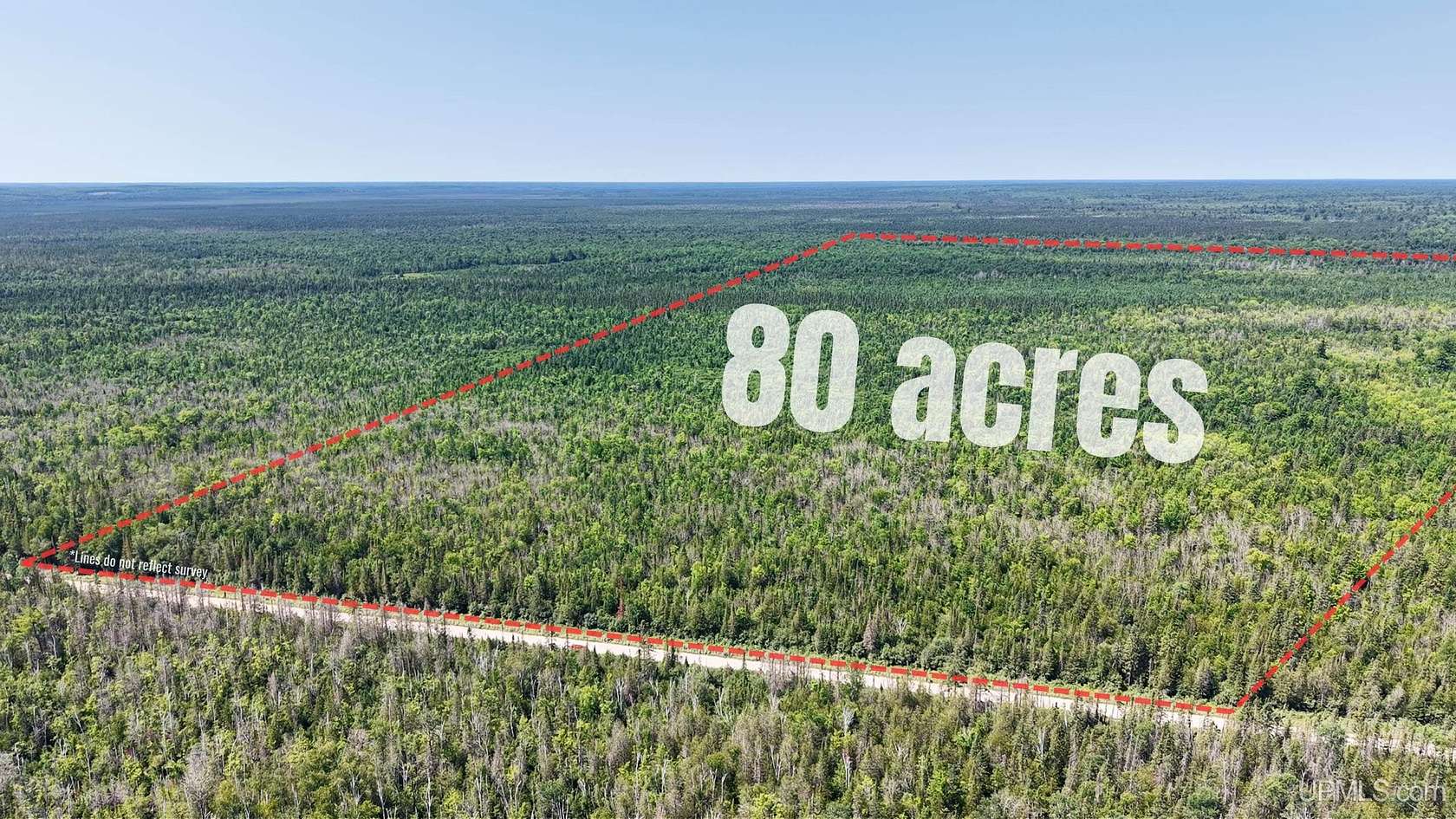 80 Acres of Recreational & Residential Land for Sale in McMillan, Michigan